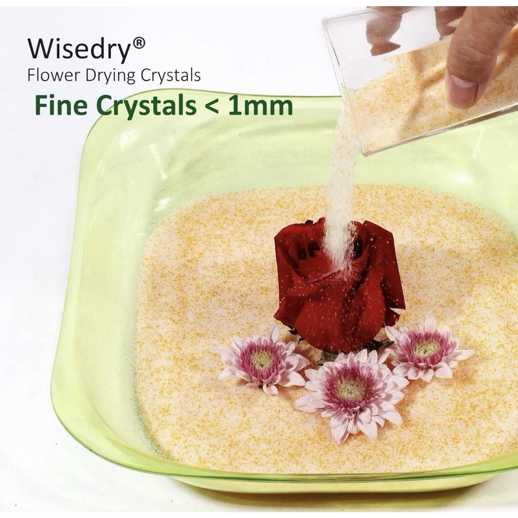 wisedry Silica Gel Crystal for Flowers Drying - 2 LBS, Fine Crystals 2 LBS