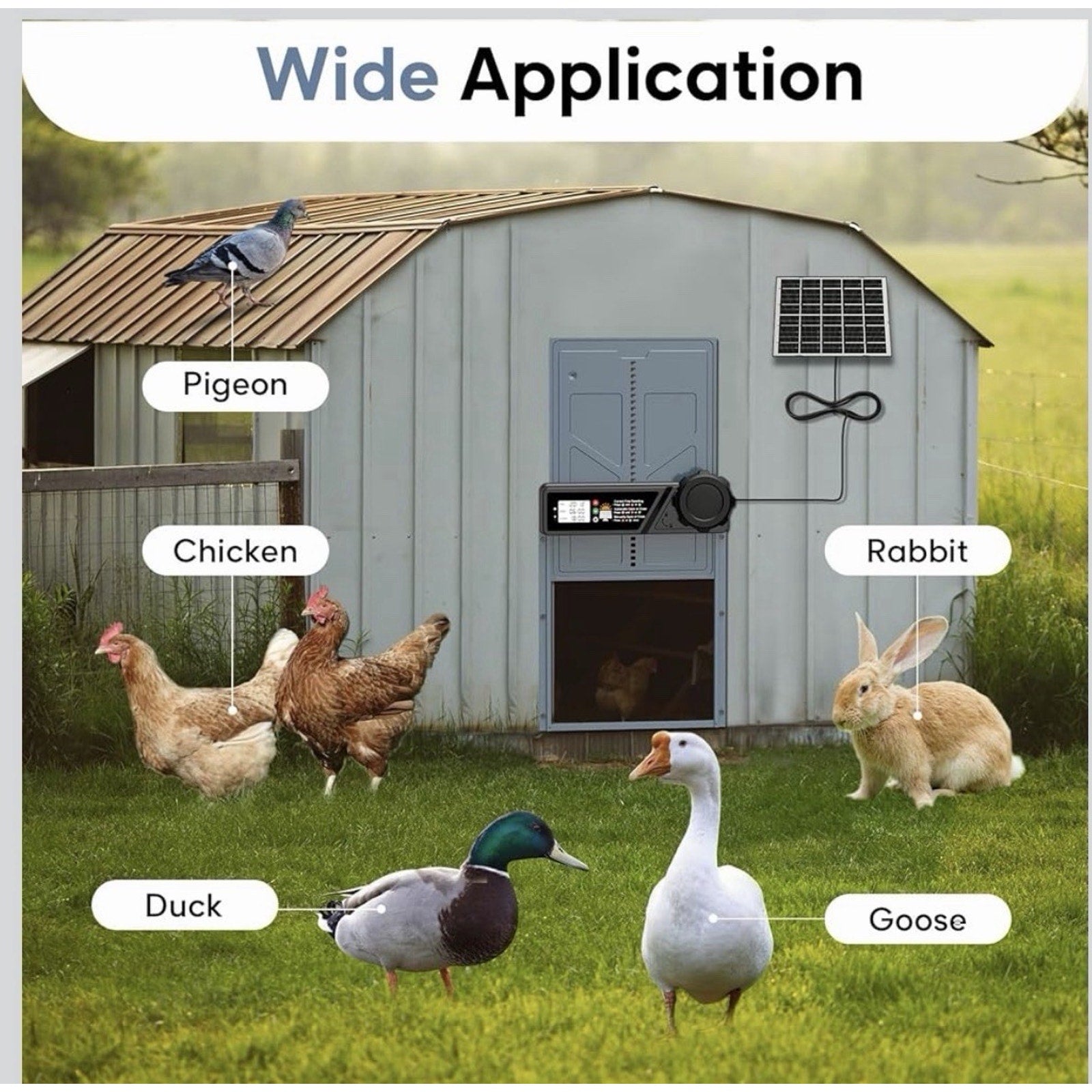 Large Size Automatic Chicken Coop Door Solar - Powered Auto Chicken Door Open