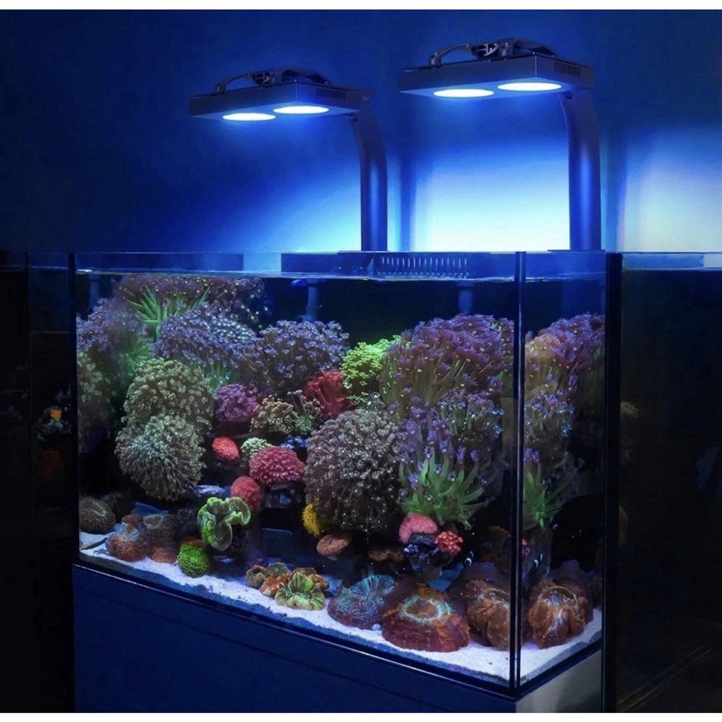 NICREW HyperReef 100 Gen 2 Reef LED Light, 100W Reef Aquarium Lighting for SPS L