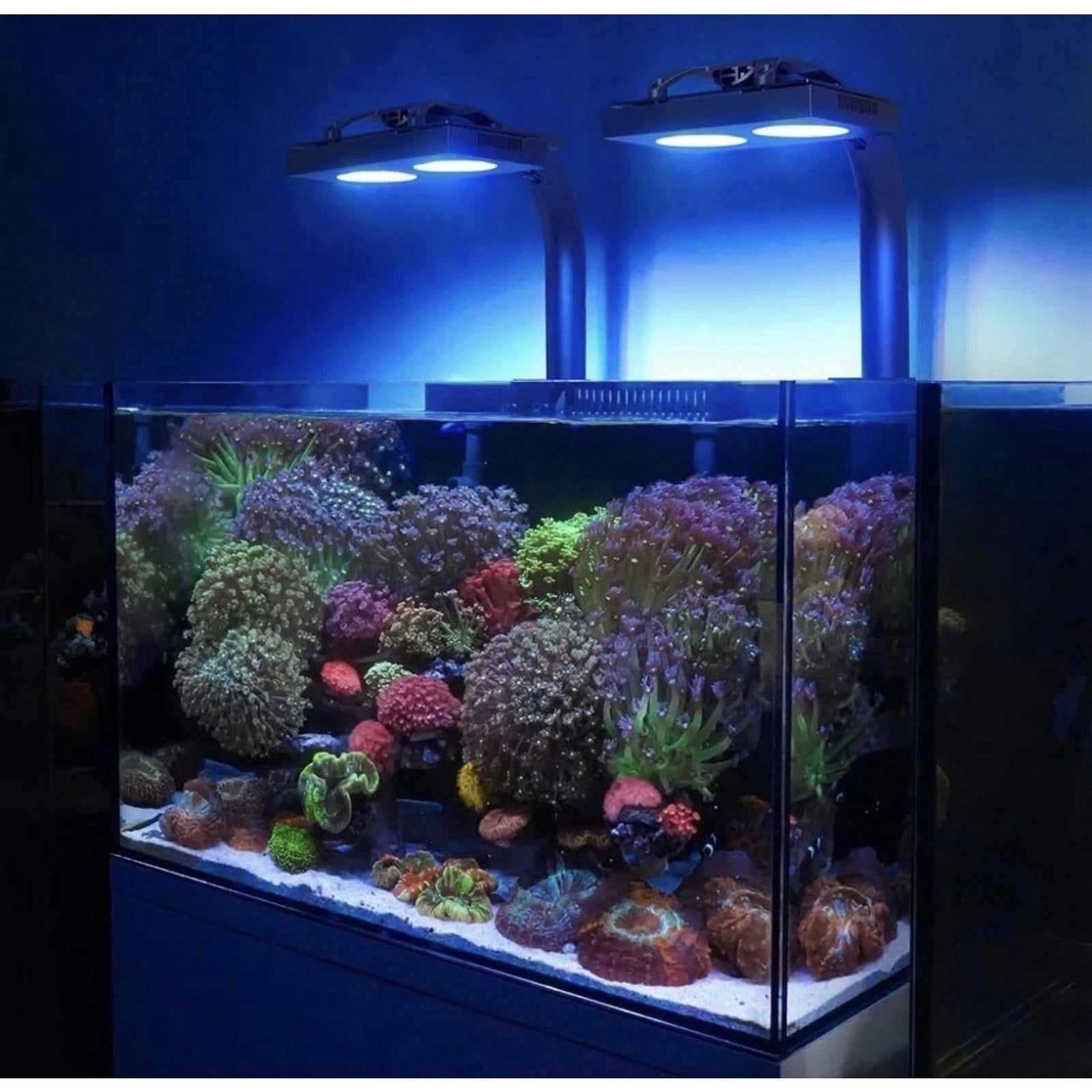 NICREW HyperReef 100 Gen 2 Reef LED Light, 100W Reef Aquarium Lighting for SPS L