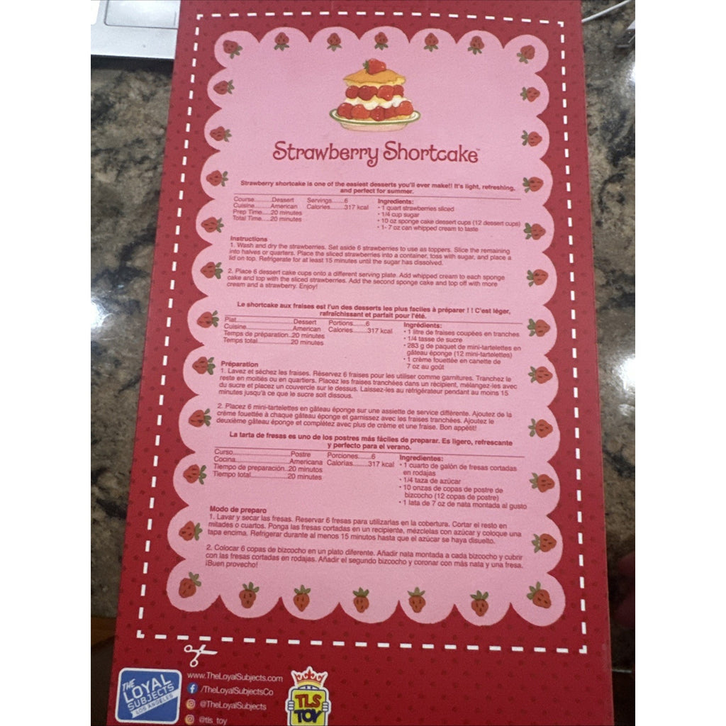 Strawberry Shortcake 14” Doll – The World of Strawberry Shortcake Distresses Box