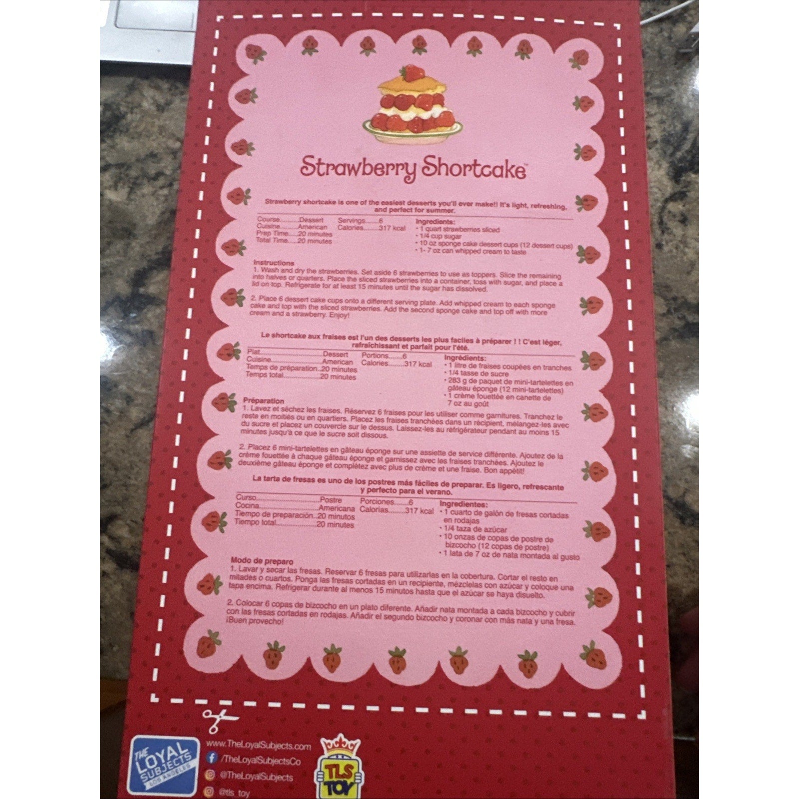Strawberry Shortcake 14” Doll – The World of Strawberry Shortcake Distresses Box