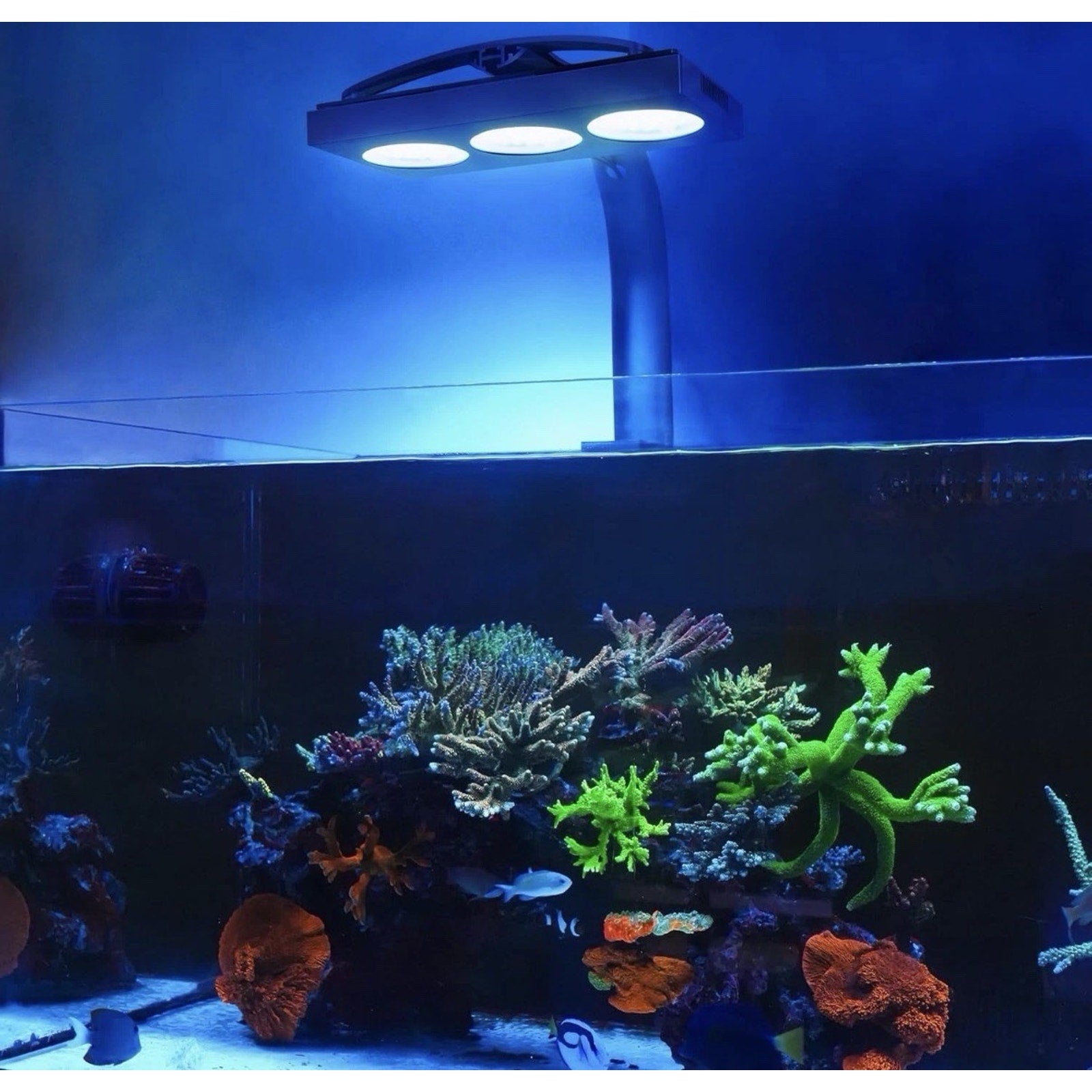 NICREW Hyperreef 200 Gen2 Reef LED Light 200W Programmable Coral Aquarium Light