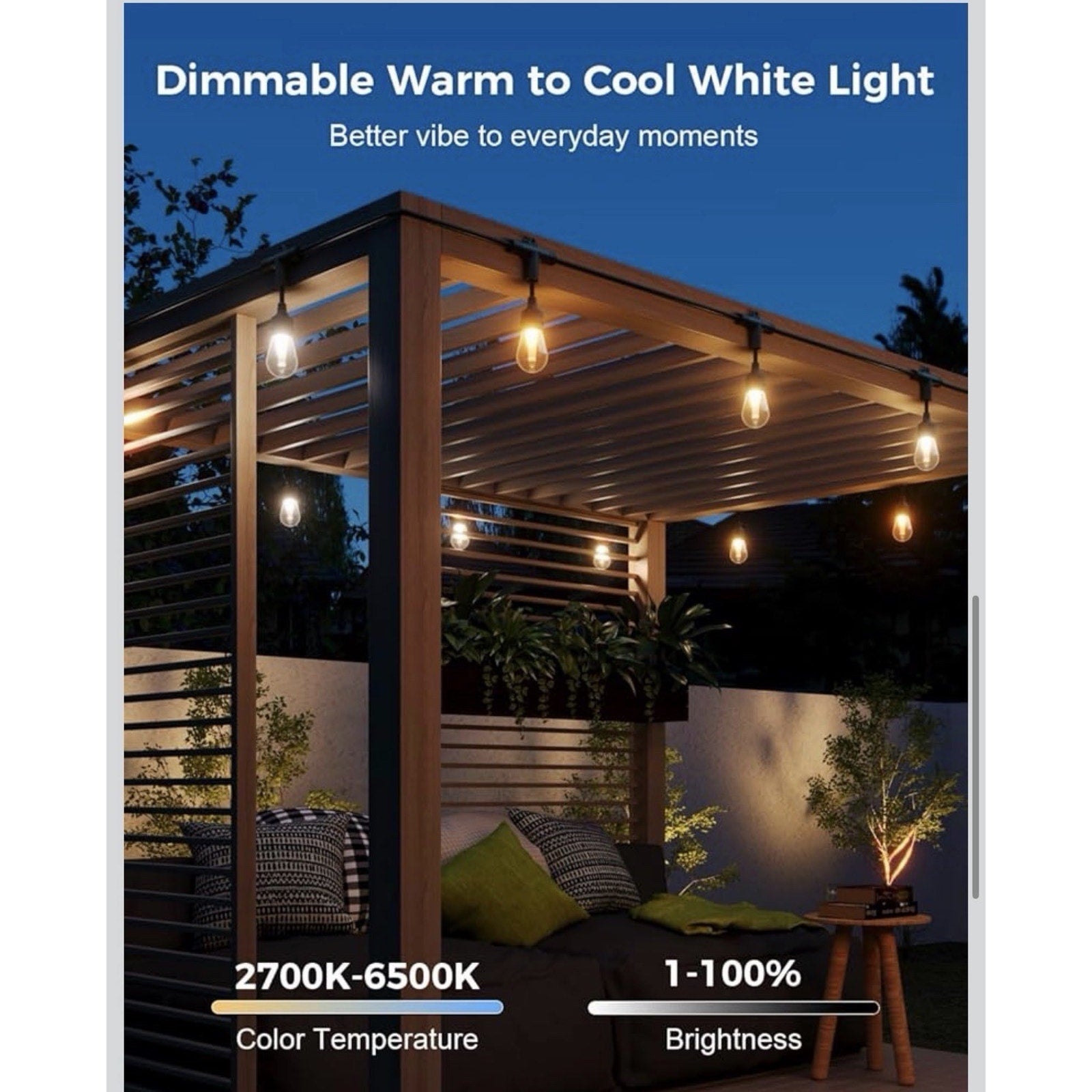 XMCOSY+ Smart Outdoor 123 ft. Outdoor WaterProof LED Lights
