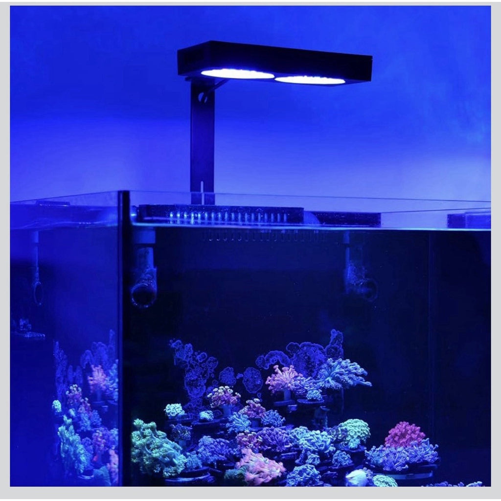Reef LED Light, 135W Reef Aquarium Lighting for LPS/SPS Corals New Open Box